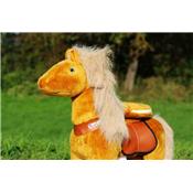 Pony Cycle Azzurro 5-10 ans